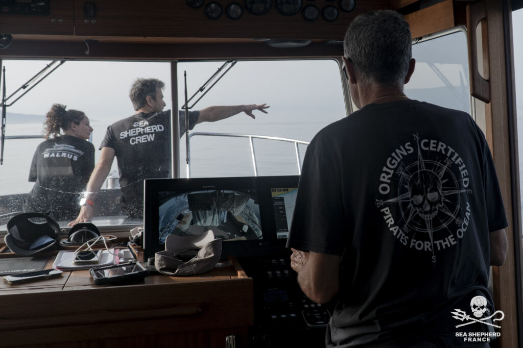 Sea Shepherd en action